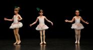 Gala de danse classique juin 2026